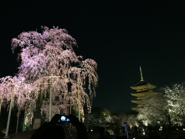 東寺ライトアップ